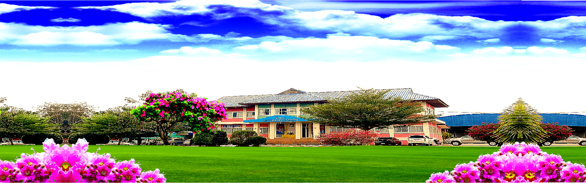 พื้นหลัง